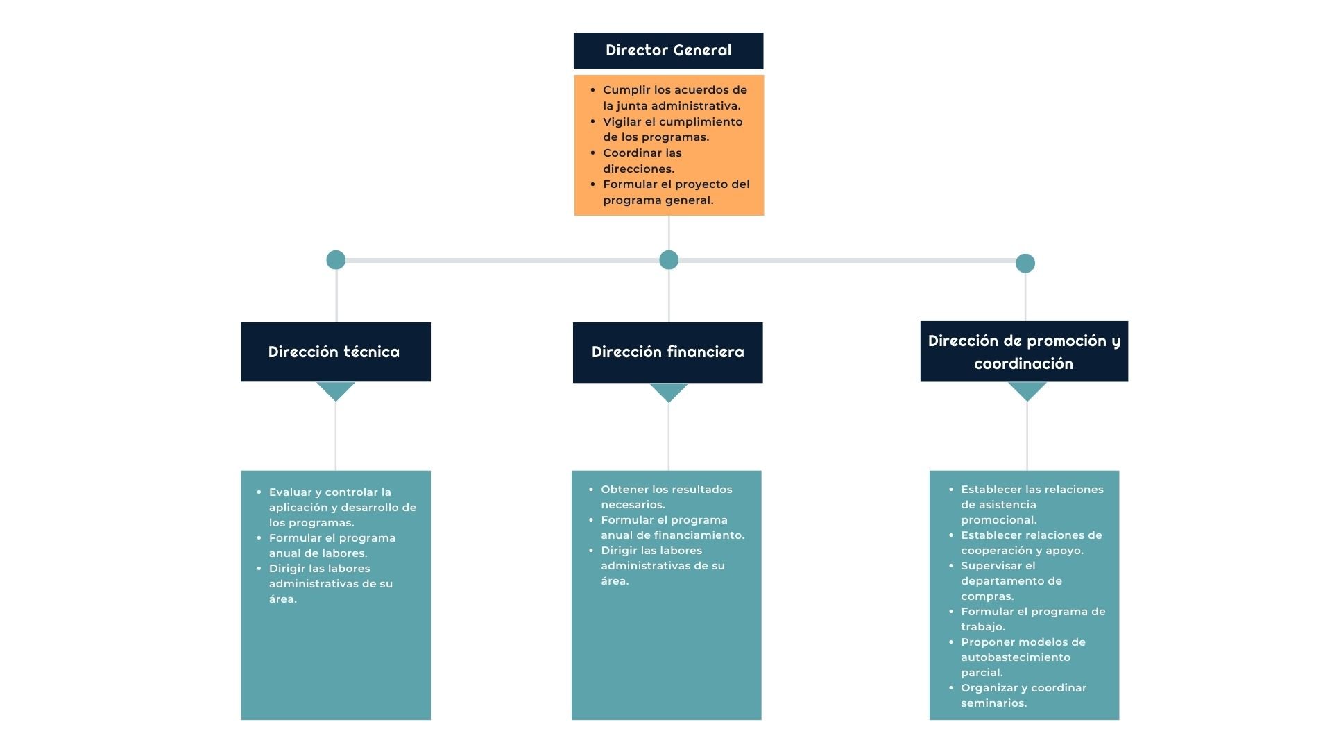 ORGANIGRAMA FUNCIONAL